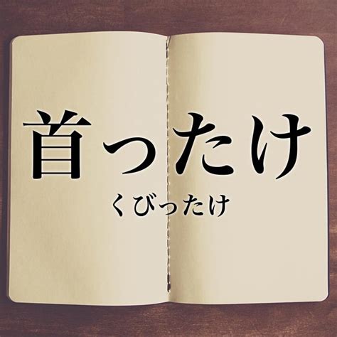 あなた に 首ったけ 意味